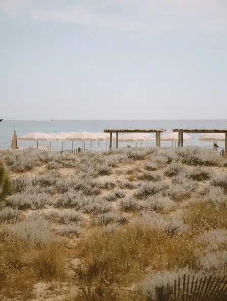 Plage priv&eacute;e Indie Beach vue depuis les dunes de Ramatuelle &ndash; v&eacute;g&eacute;tation naturelle et parasols