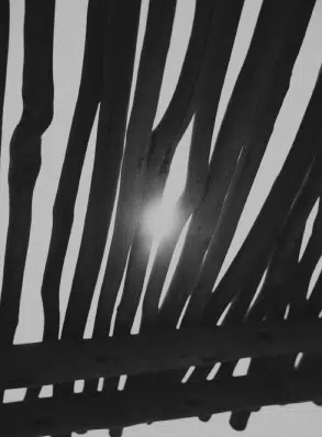 Pergola en rondins de la plage priv&eacute;e Indie Beach Ramatuelle &ndash; lumi&egrave;re du soleil m&eacute;diterran&eacute;en