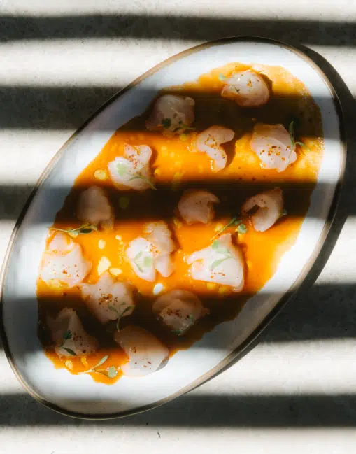 Ceviche de crevettes sauce épicée – menu du restaurant Indie Beach Pampelonne